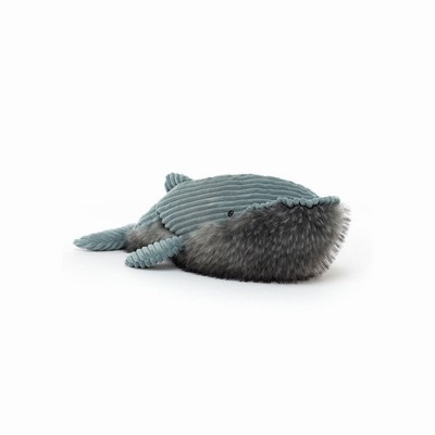 Jellycat Wiley Whale Australia | 934257JZP